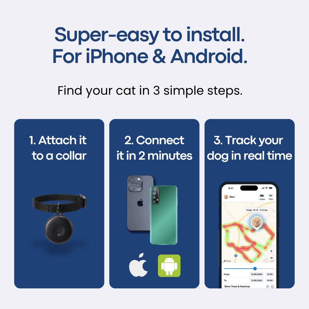Lokalizator GPS dla kota bez abonamentu – Snazz